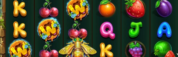betsoft online slots