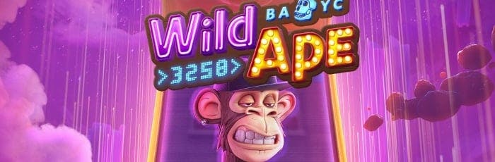 cwbet app site