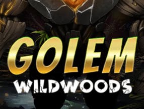 qual é a fortuna de tiger woods