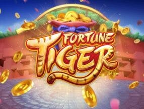 slot machine ca noghera