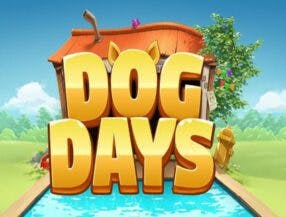 jogo com rodadas gratis